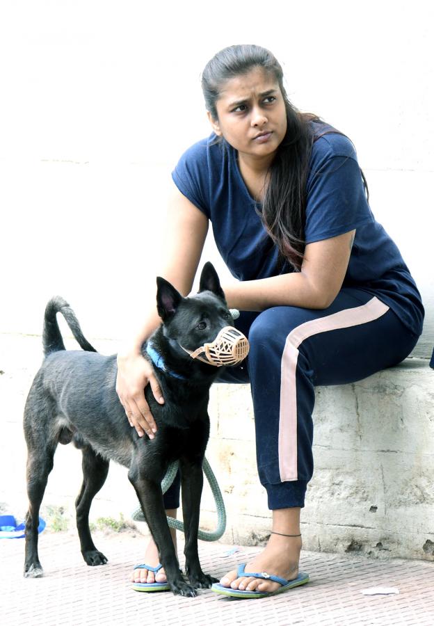 Free_20Vaccination_20For_20Animals_20Photos-12.jpg 12