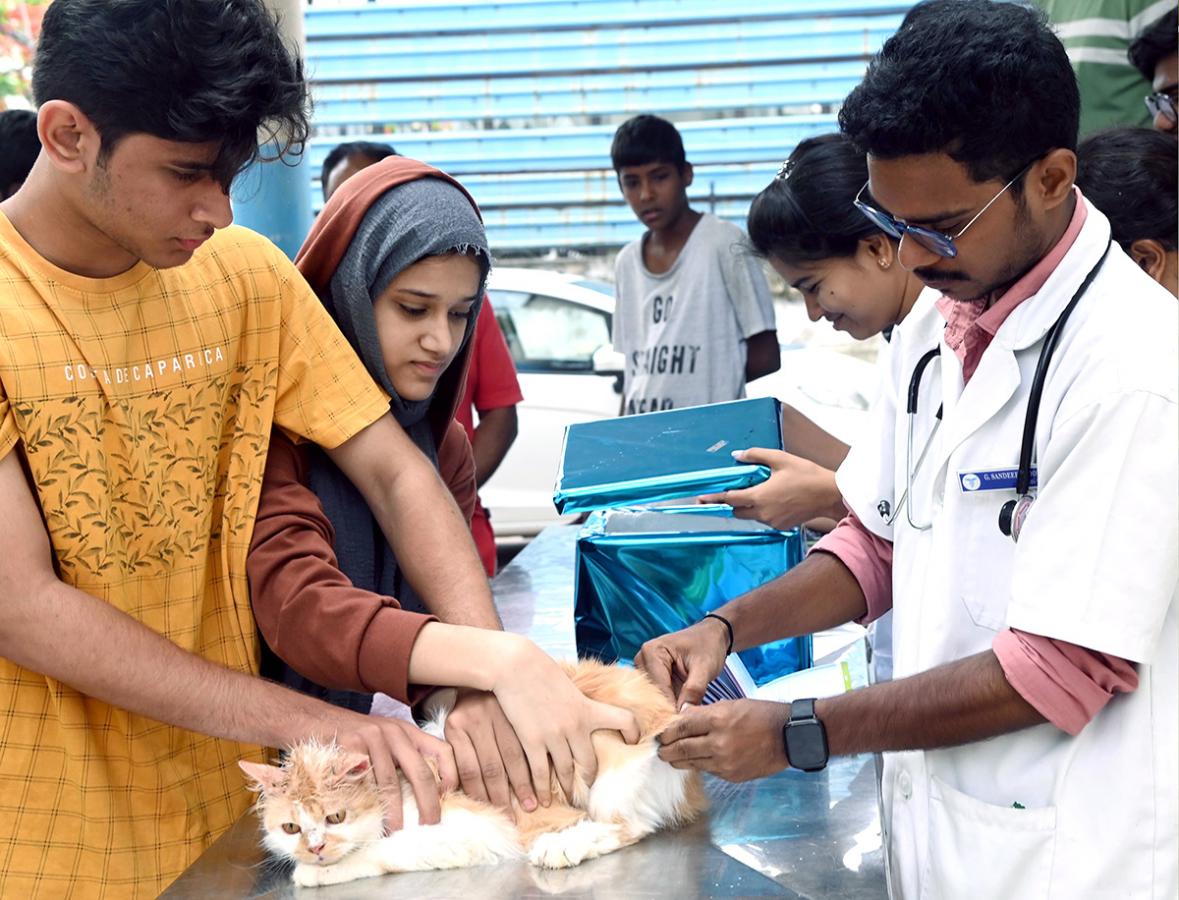 Free_20Vaccination_20For_20Animals_20Photos-13.jpg 13