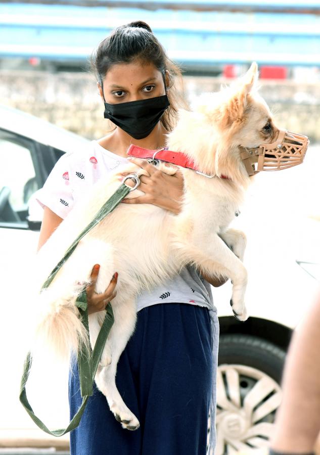 Free_20Vaccination_20For_20Animals_20Photos-15.jpg 15