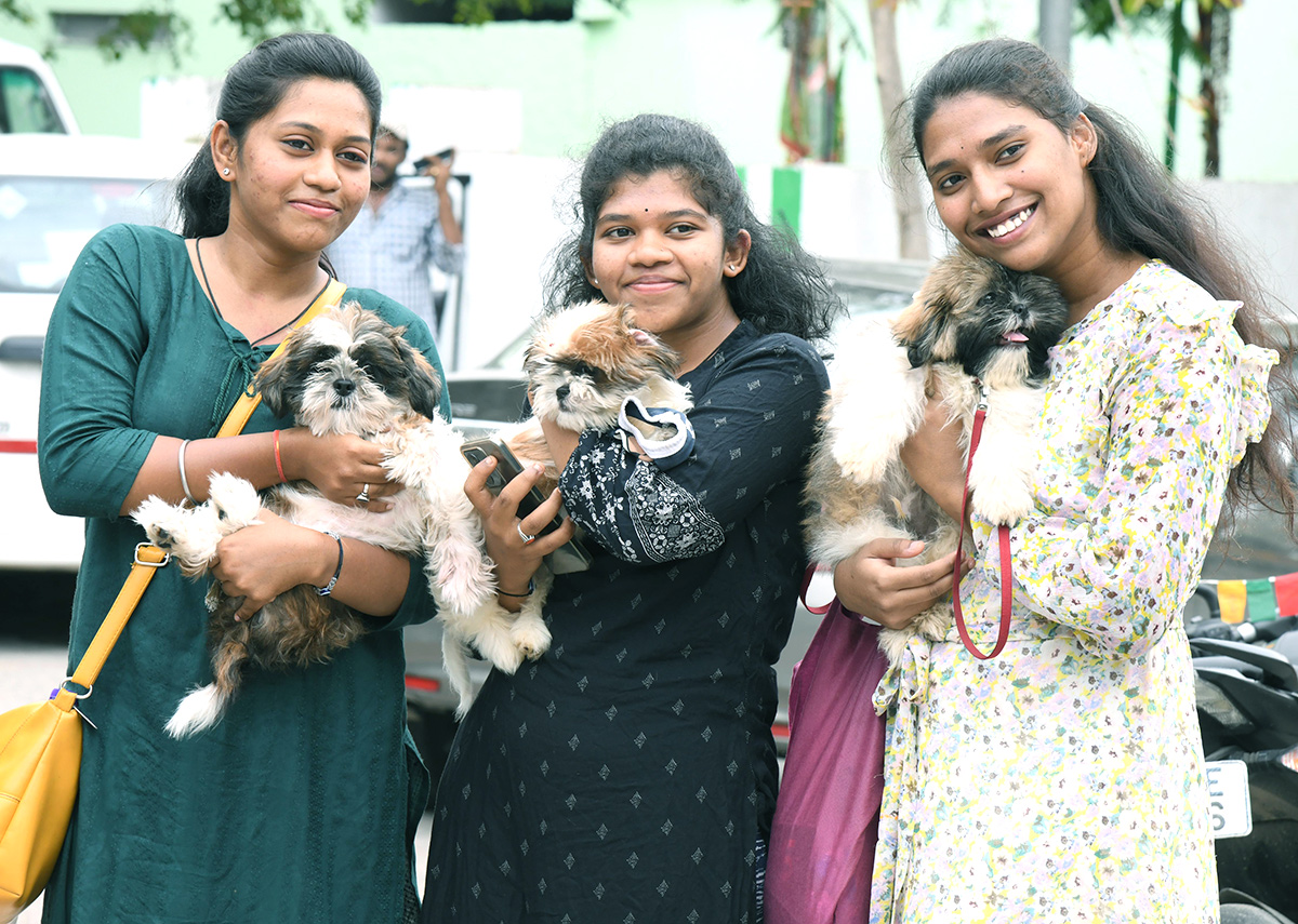 Free_20Vaccination_20For_20Animals_20Photos-2.jpg 2