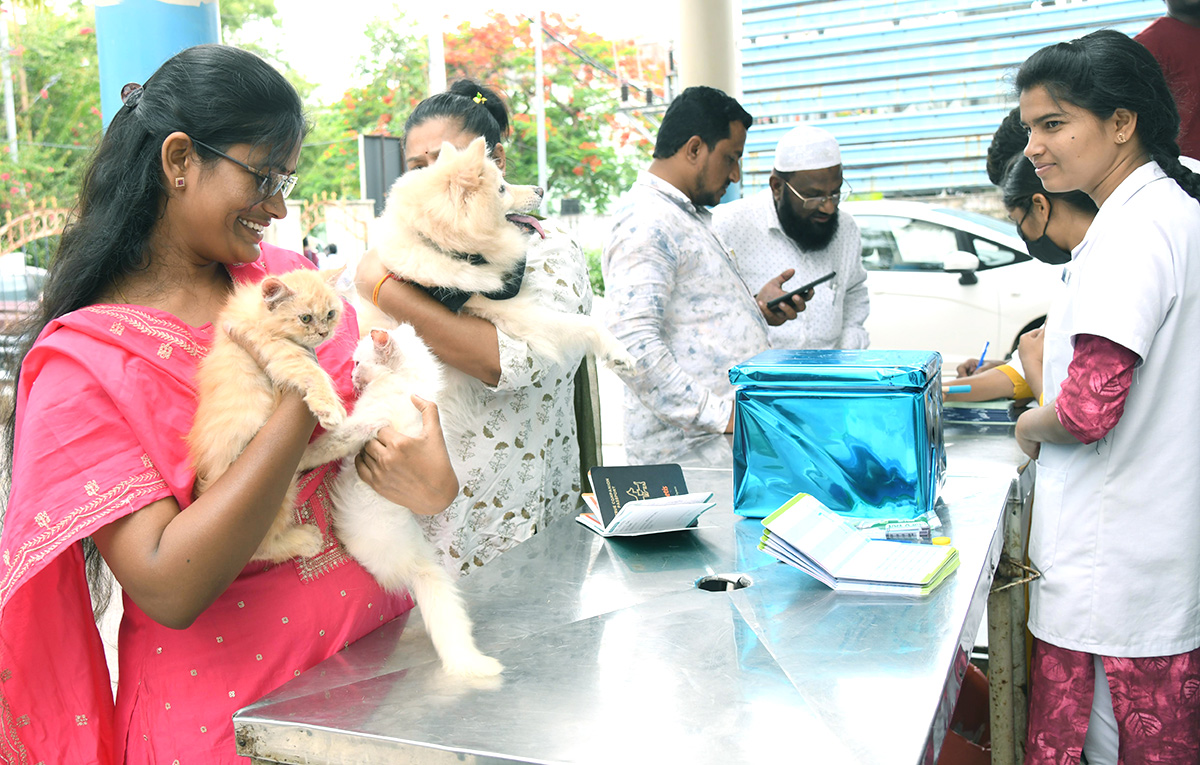 Free_20Vaccination_20For_20Animals_20Photos-3.jpg 3