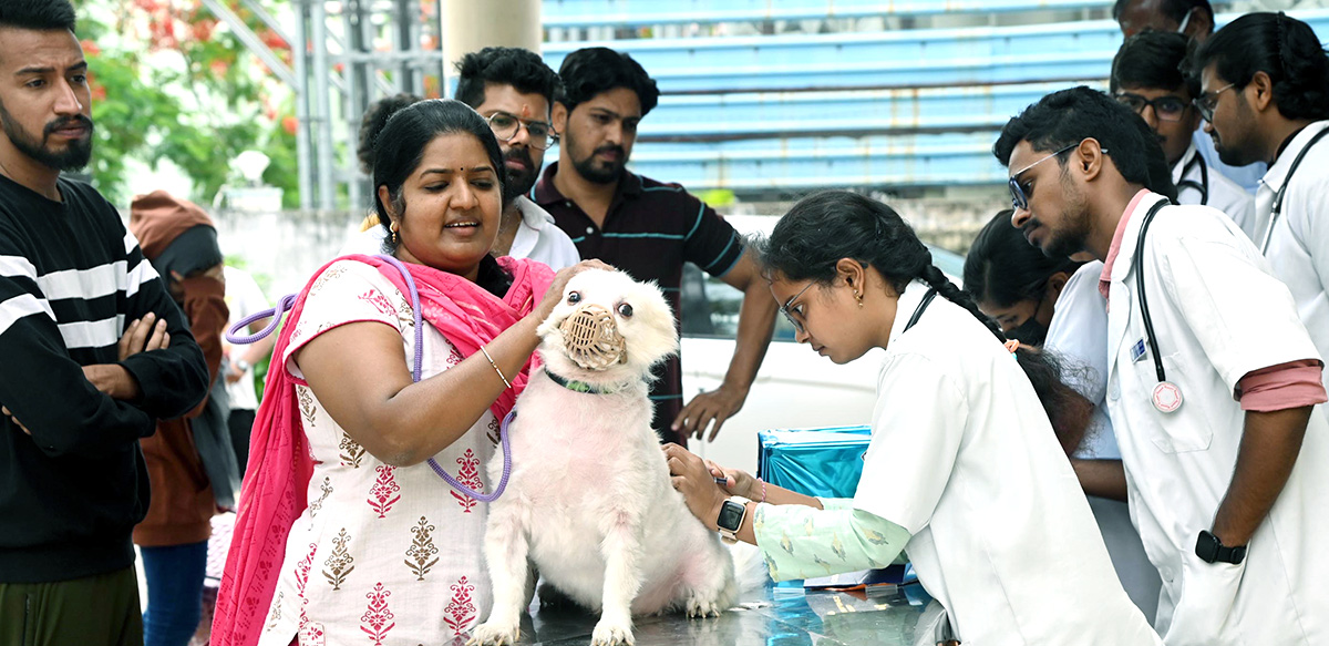 Free_20Vaccination_20For_20Animals_20Photos-6.jpg 6