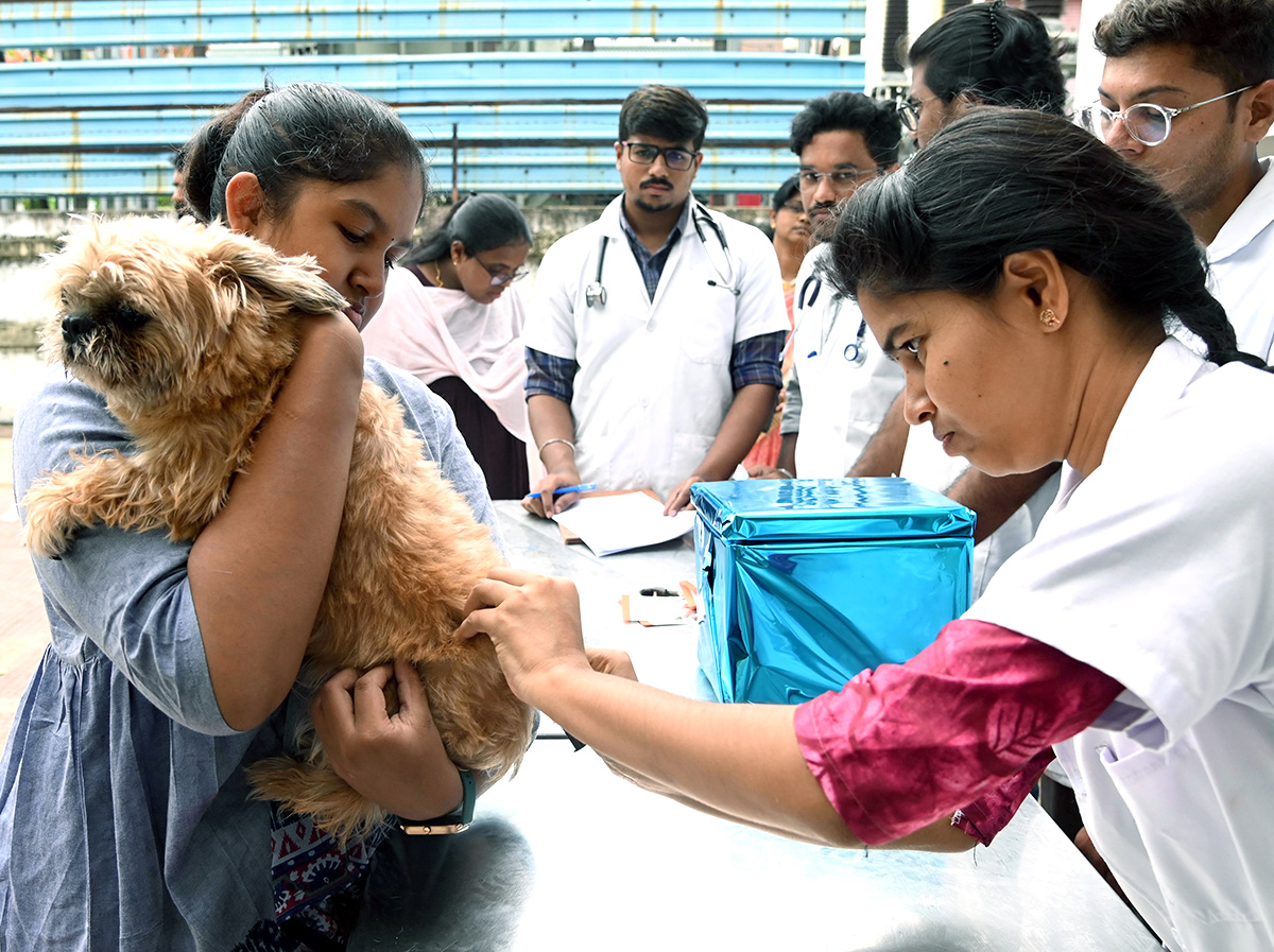 Free_20Vaccination_20For_20Animals_20Photos-8.jpg 8