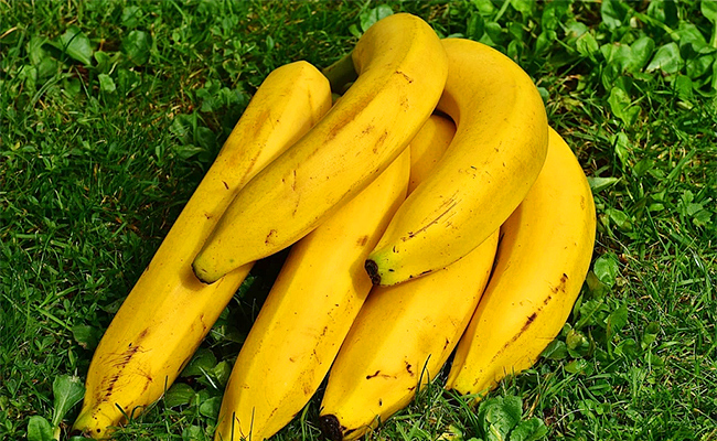 banana_0.jpg