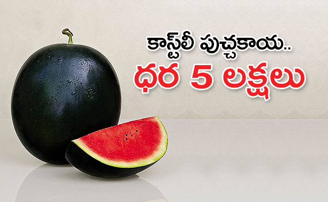 watermelon_650x400.jpg