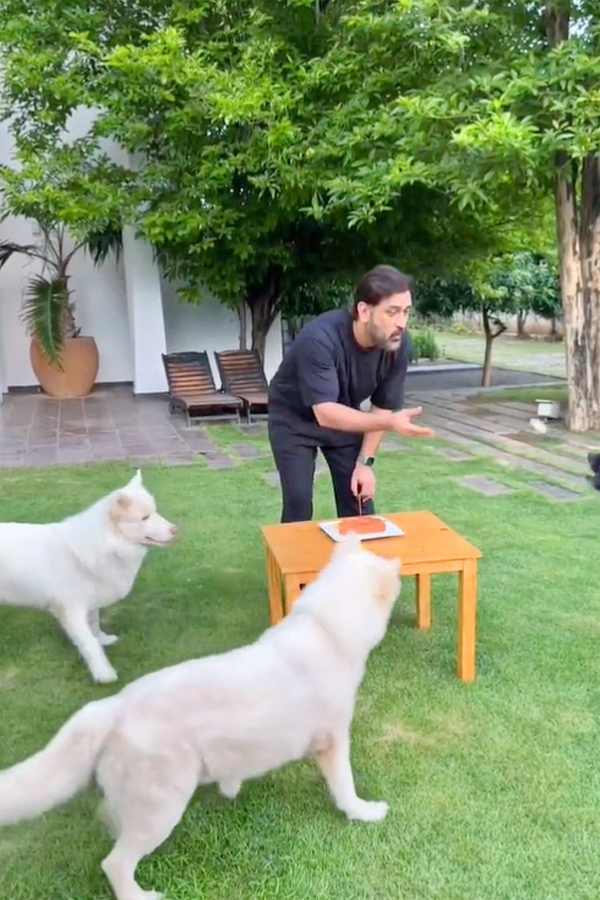 MS_20Dhoni_20celebrates_2042nd_20birthday_20with_20pet_20dogs_20in_20Ranchi_20Photos_6.jpg 7