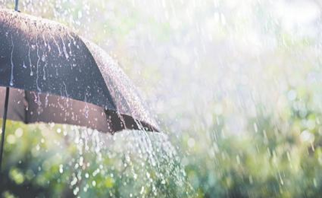 rain.jpg