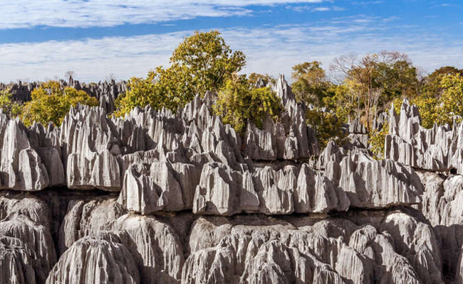 Tsingy-de-Bemaraha-Strict-Nature-Reserve.jpg 14