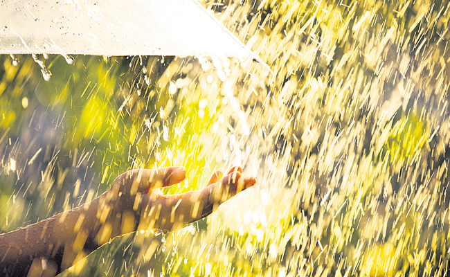 rains.jpg