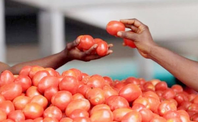 AP-Tomatos-Centre.jpg