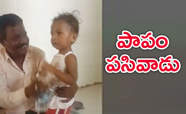Hanamkonda-Stray-Dog-Attack-Incident.jpg