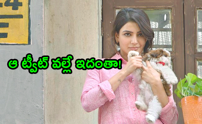 Trolling-On-Samantha-Kushi-Song.jpg