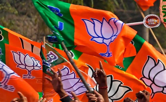 bjp2.jpg