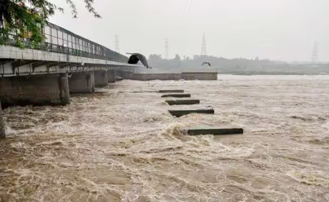 yamuna.jpg