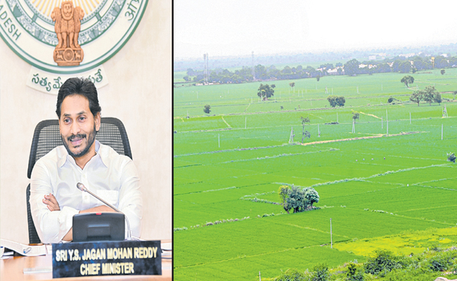 GREEN-PADDY-KURNOOL.jpg