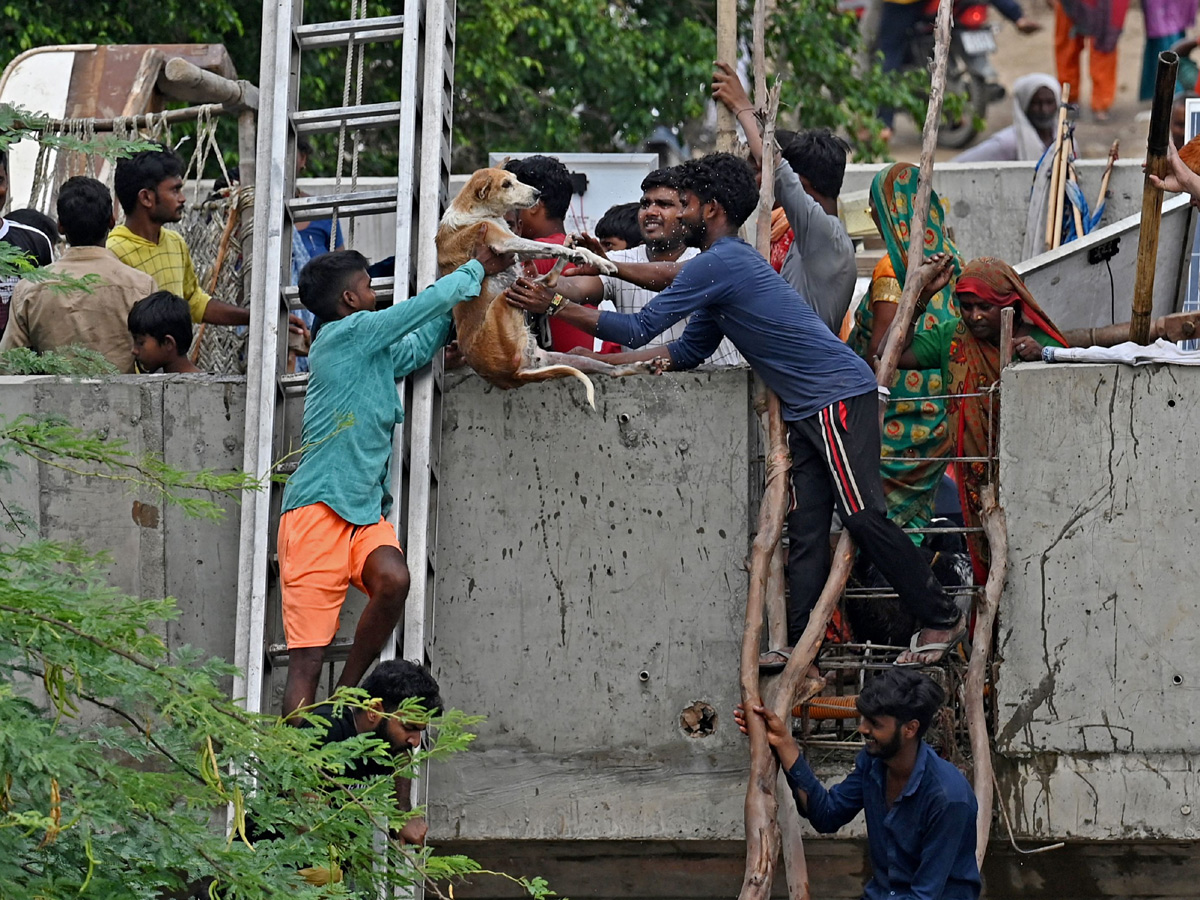 Yamuna_20Breaches_20Danger_20Level_20Waterlogging_20in_20Parts_20of_20Delhi_20Photos-25.jpg 25