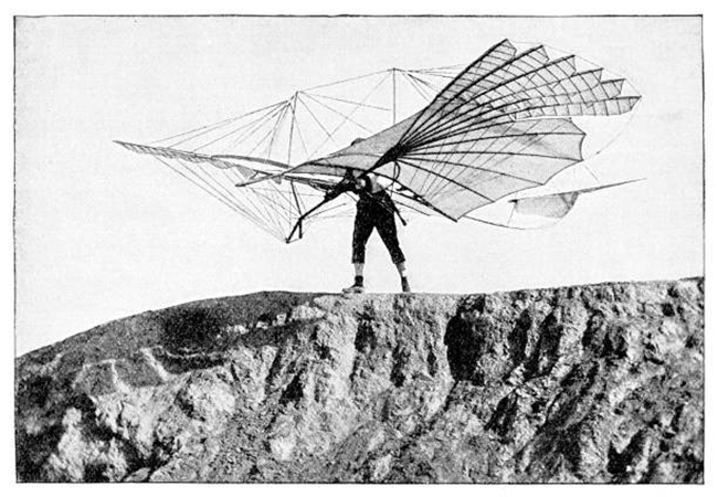 Interesting_20facts_20about_20evolution_20of_20flight-5.jpg 5