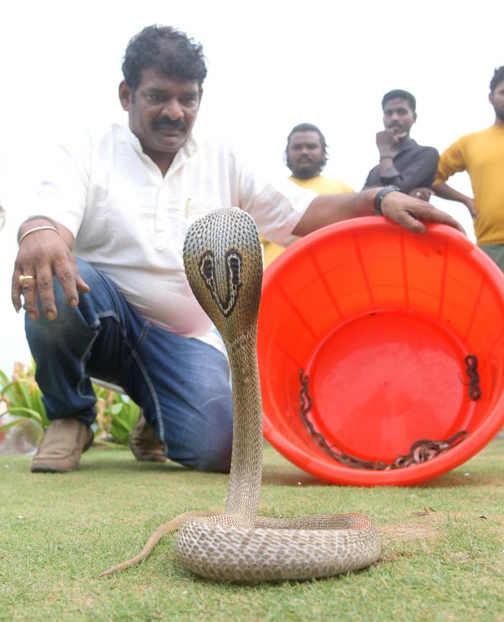 snake_20show_20in_20rk_20beach_20vizag-3.jpg 3