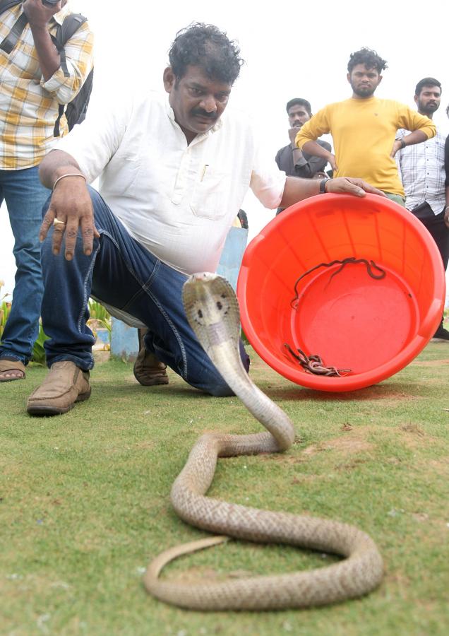 snake_20show_20in_20rk_20beach_20vizag-5.jpg 5