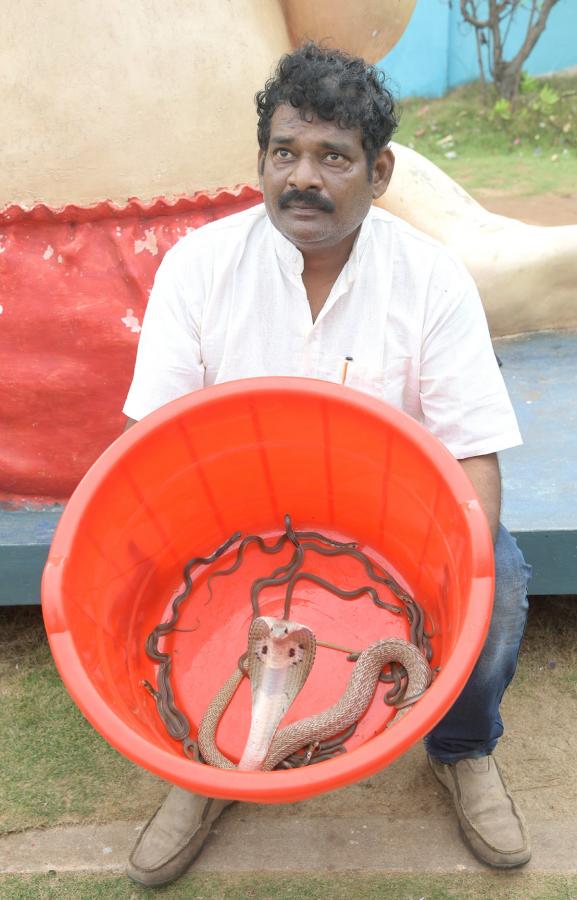 snake_20show_20in_20rk_20beach_20vizag-7.jpg 7