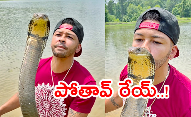 Fearless-Man-Kisses-Massive-King-Cobra.jpg
