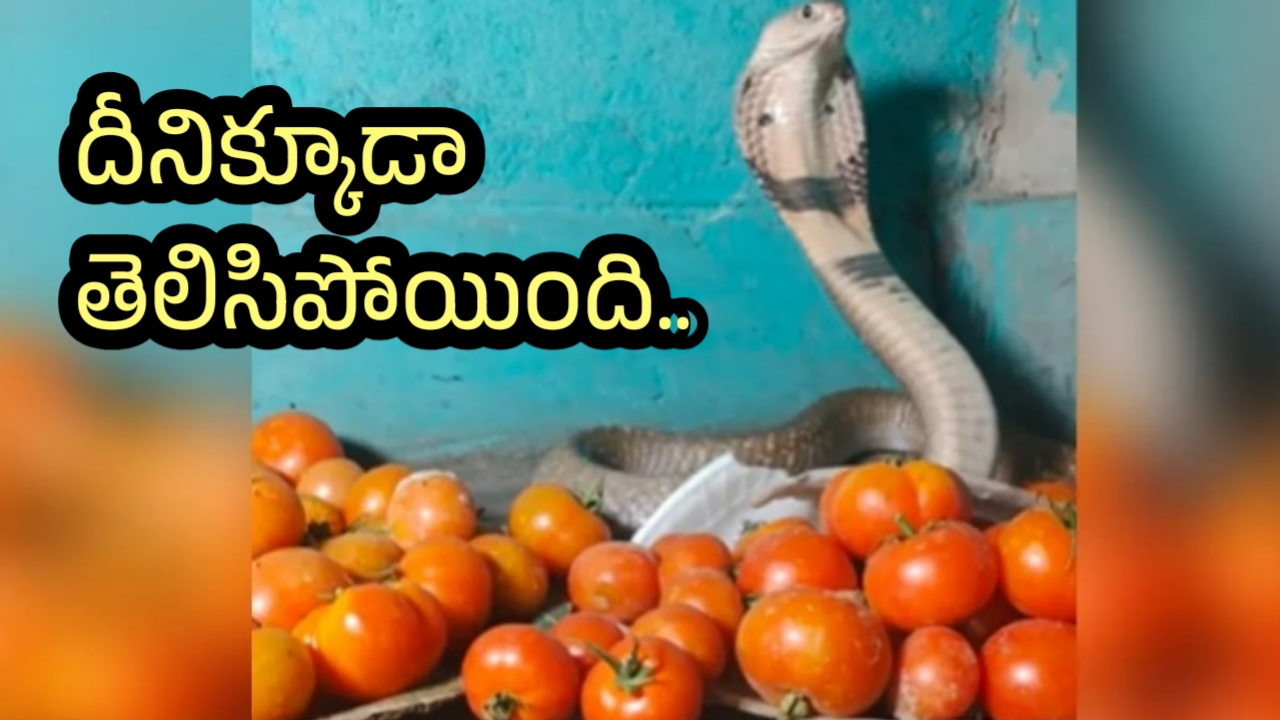 WhatsApp_20Image_202023-07-15_20at_2019.24.22.jpeg