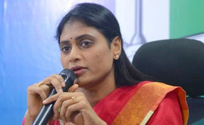 YS_20Sharmila.jpg