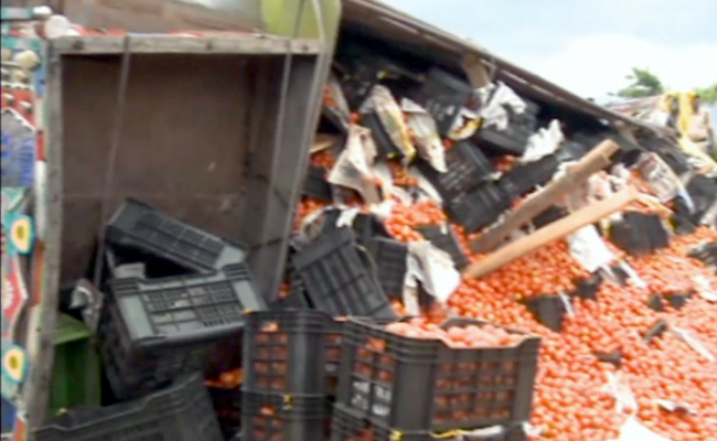 tomato1.jpg