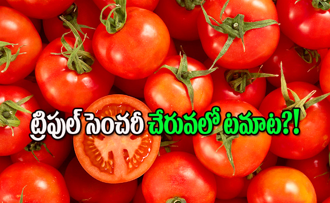 tomato_0.jpg