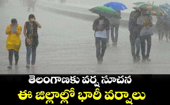 TS-Rains.jpg