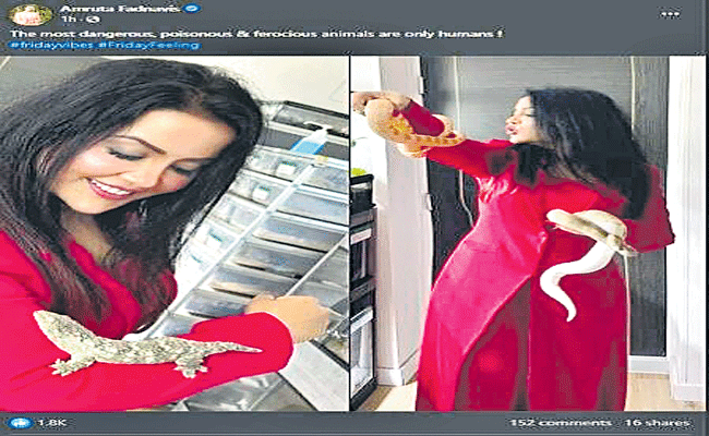 amrutha-with-snake.gif