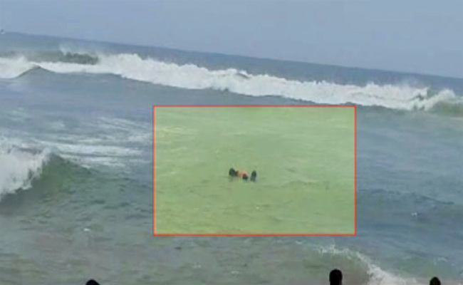 beach.jpg