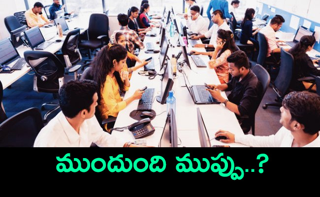 IT-employees.jpg