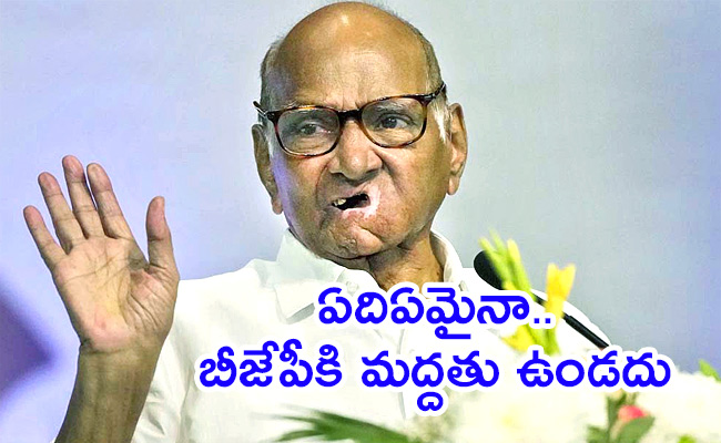 NCP-Sharad-Pawar-After-Rebels-Meet.jpg