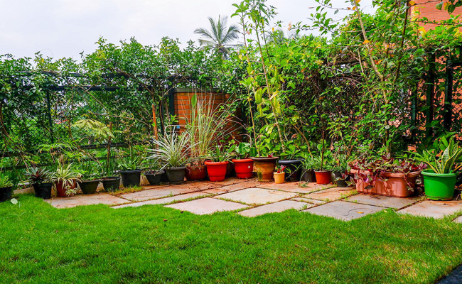 Terrace-Gardening.jpg