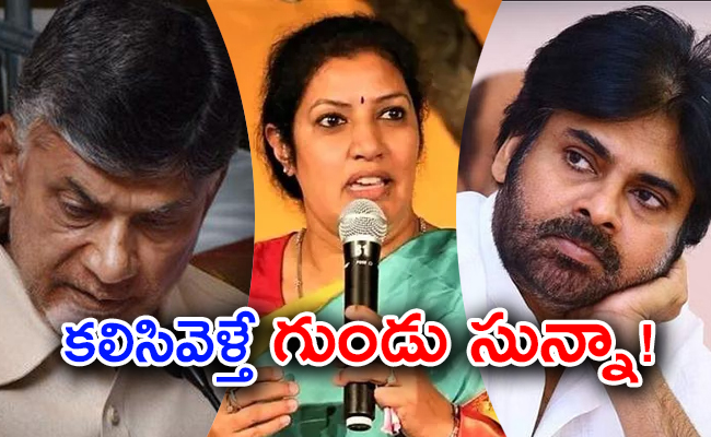 nda-meeting-delhi-call-pawan-kalyan-bjp-plans-replace-tdp-ap-02.jpg