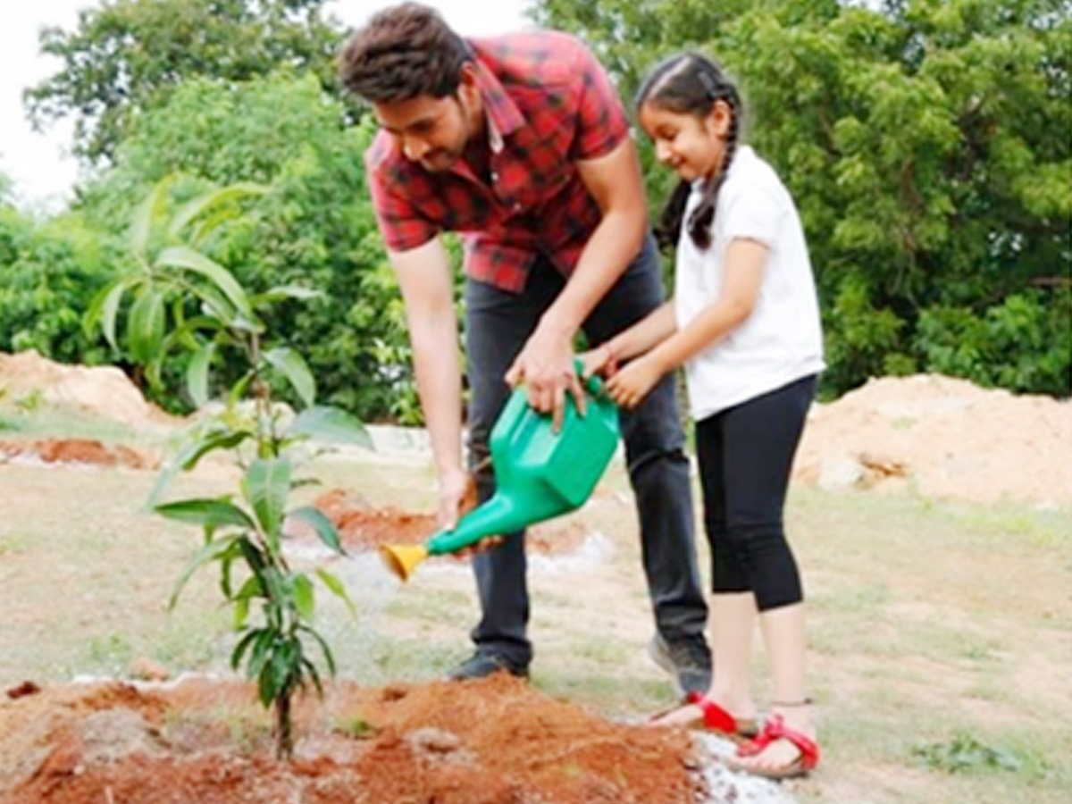 Sitara_24.jpg 27