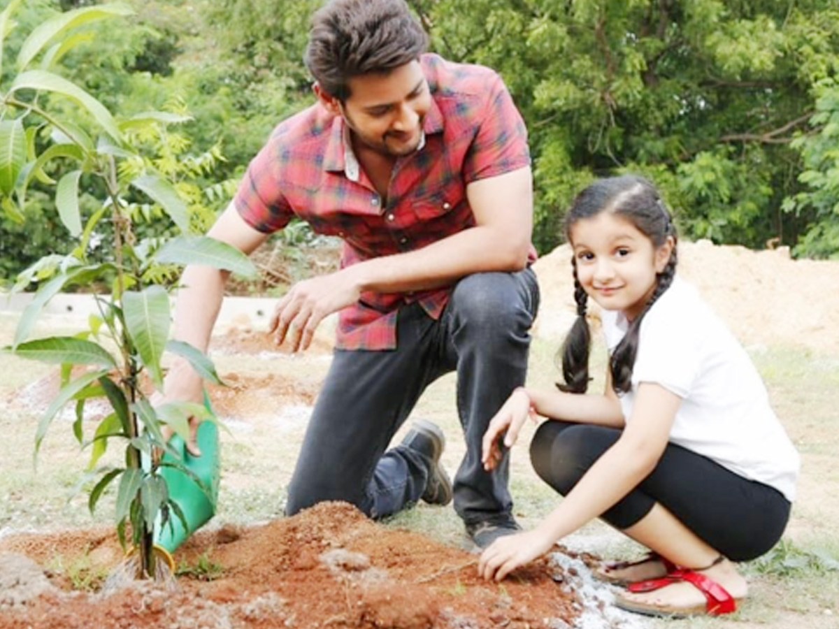 Sitara_26.jpg 29