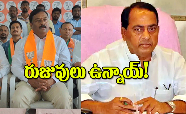 bjp-Maheshwar2.jpg