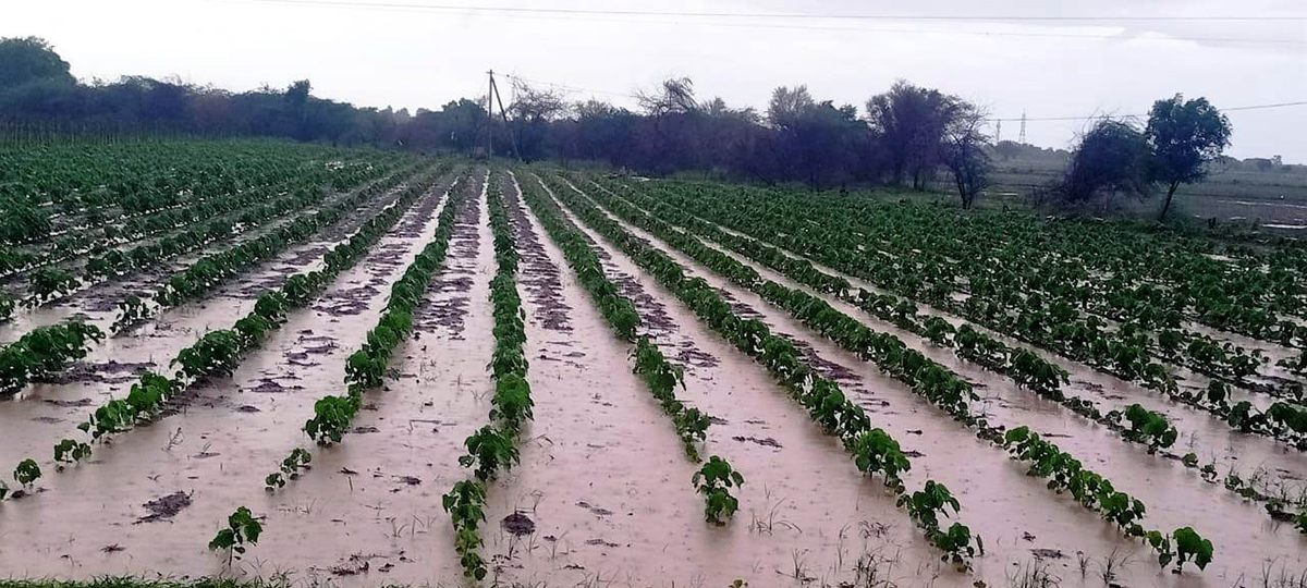 heavy_20rains_20in_20andhra_20pradesh_20pics-7.jpg 7