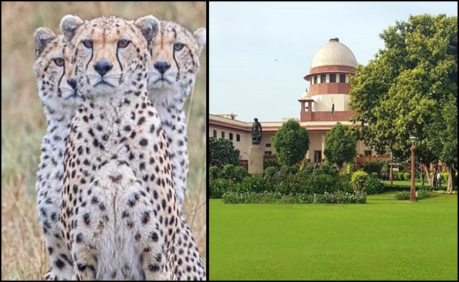 supreme-court.jpg