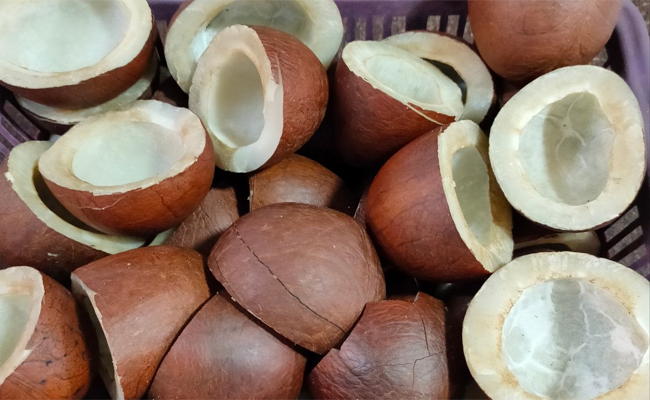 coconut.jpg