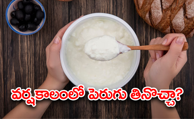 curd-safe-monsoon-season-nutritionist-reveals-myths-and-facts.jpg