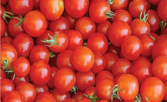 tomato.gif