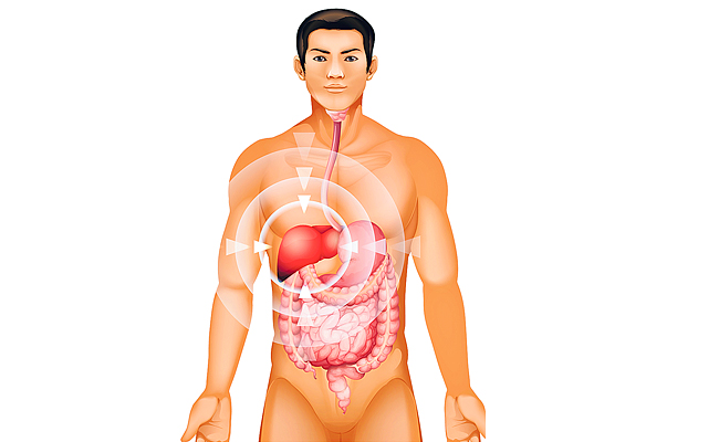 Liver.jpg