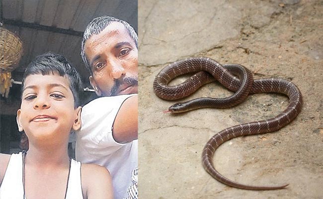 Snake-Bite.jpg