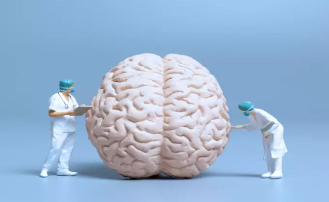 brain5_0.jpg