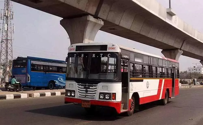 bus1.jpg