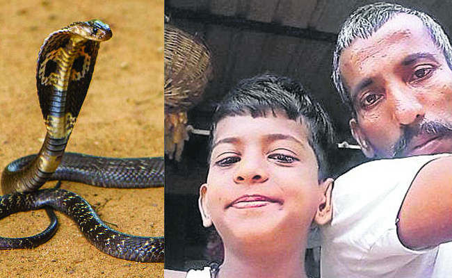 cobra_20bite.jpg