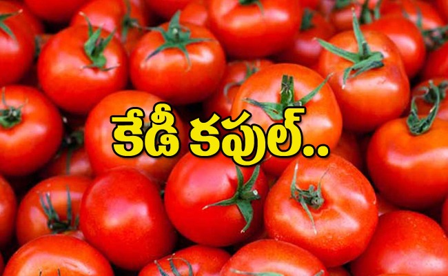 tomato_img.jpeg